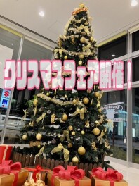 先行クリスマスフェアいよいよ明日開催！